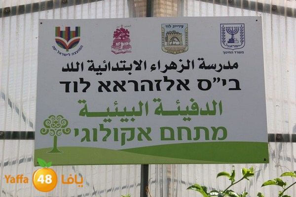 torath zahra20402 (32).JPG